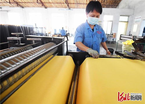 河北懷來 優化營商環境 助力企業發展