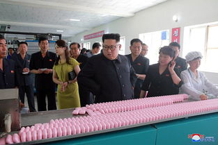 朝中邊境的紡織圖景 金正恩視察背后的經(jīng)濟(jì)信號(hào)與區(qū)域觀察